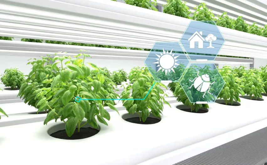 Bionic Plants That Clean the Air: The Future of Green Technology